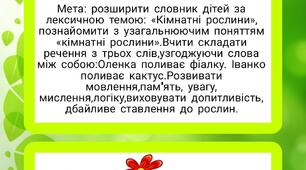 Дидактична гра: "Кімнатні рослини Оленки та Іванка"