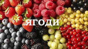 "На гостини до Копатича" (лексична тема "Ягоди")