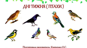 Презентація для діте старшої групи "Дні тижня. Птахи"