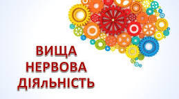 Поняття про вищу нервову діяльність та її основні типи.Безумовні рефлекси