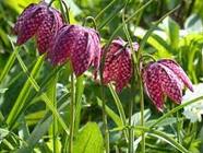 0402eiv5-8fab-139x104.jpg