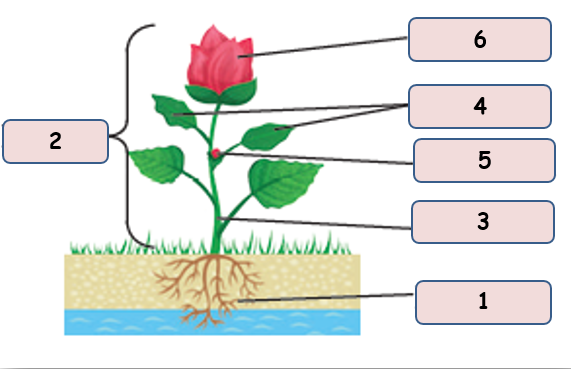 0402ejkn-f4b3-571x369.png