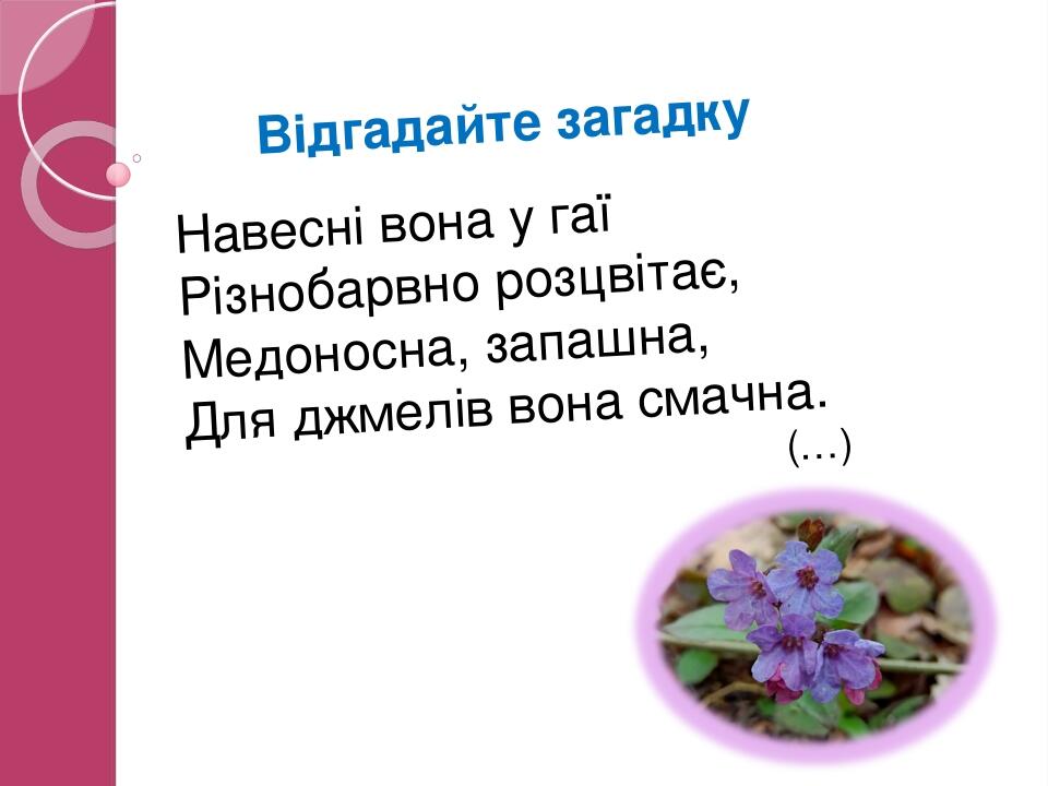 Відгадайте загадку Навесні вона у гаї Різнобарвно розцвітає, Медоносна, запашна, Для джмелів вона смачна. (…)