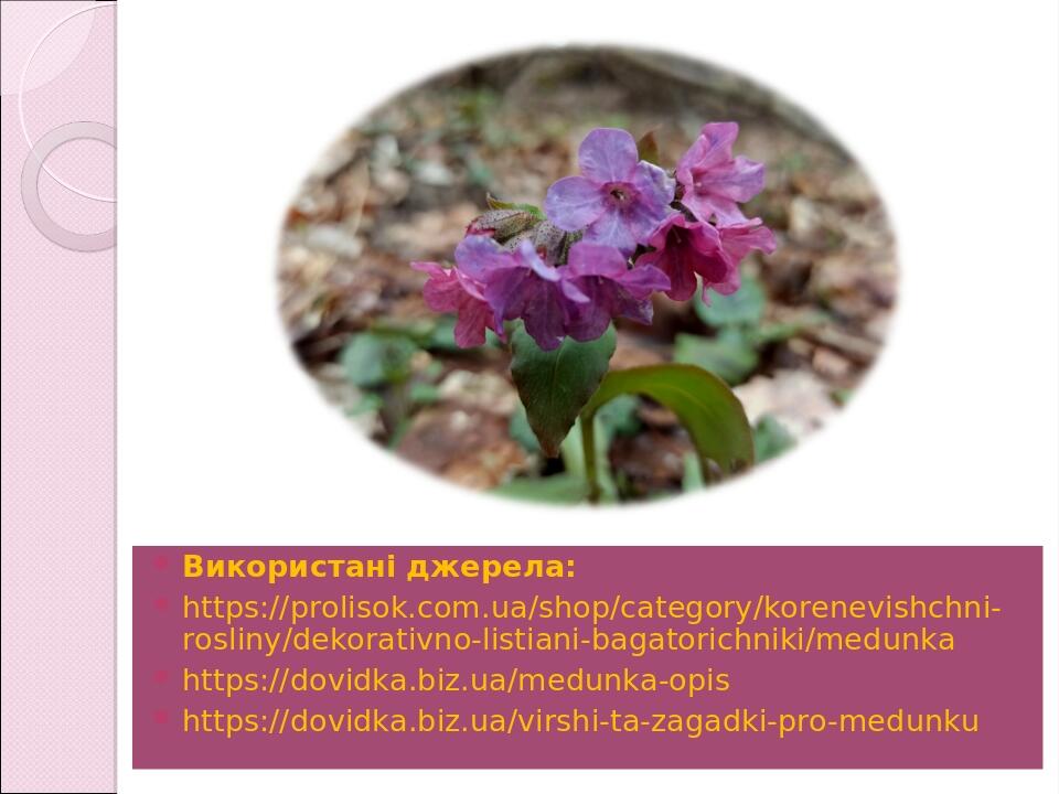 Використані джерела: https://prolisok.com.ua/shop/category/korenevishchni-rosliny/dekorativno-listiani-bagatorichniki/medunka https://dovidka.biz.u...