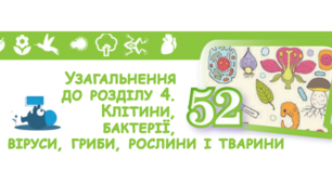 5 кл. Узагальнення до Розділу 4. Клітини, бактерії, віруси, гриби, рослини, тварини