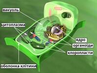 0402el3q-cd88-198x149.jpg