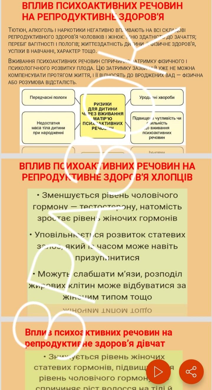 0402eln5-2713-720x1321.jpg