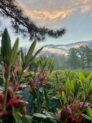 0402elv4-f029-310x415.png