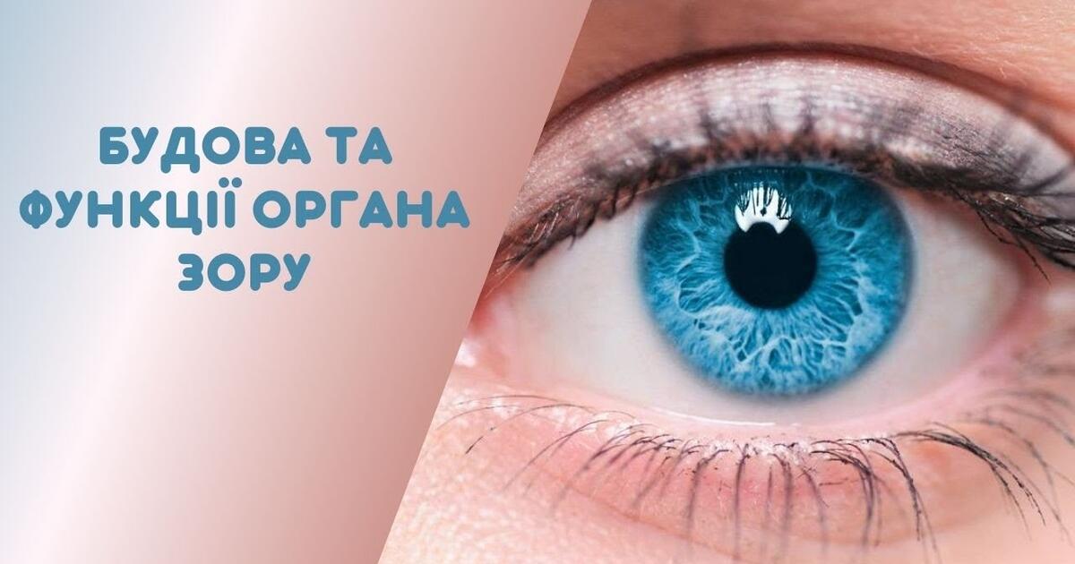 Тестування: Зорова ⁣⁣і ⁣⁣слухова ⁣⁣сенсорні ⁣⁣системи