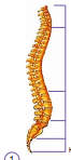 0402emq8-6387-72x161.png