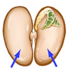 0402enfy-bcb9-247x256.png