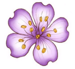 0402engl-4624-251x231.png