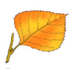 0402engx-5bee-251x239.png