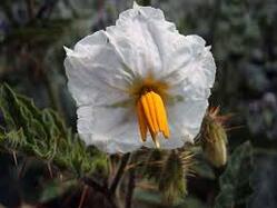 0402env3-ccb3-249x187.jpg