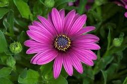 0402eo06-0f92-253x168.jpg