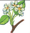 0402eolf-5e4b-100x110.png