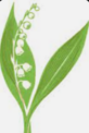 0402ep2c-3ef8-82x122.png