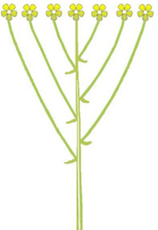 0402epb4-3596-177x257.png