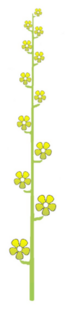 0402epcb-2293-67x312.png