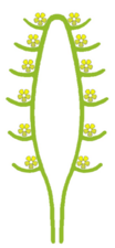 0402epew-9250-104x225.png