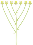 0402epf7-3966-131x181.png