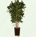 0402eqtj-380b-129x131.png