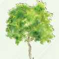 0402equc-2f18-119x120.png