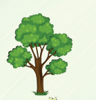 0402equt-8125-139x145.png