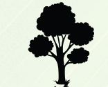 0402equv-7b48-156x126.png