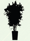 0402equy-1c0c-102x137.png