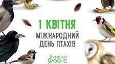 1 квітня – Міжнародний День птахів. 