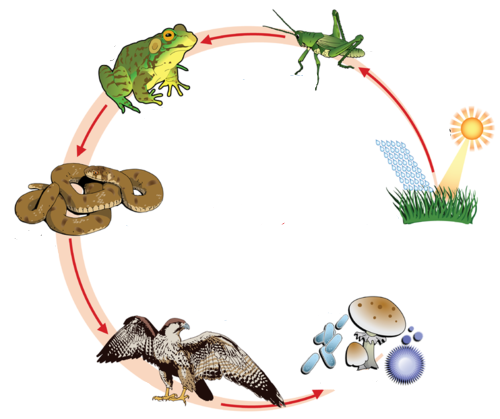 0402evdc-89c5-500x419.png
