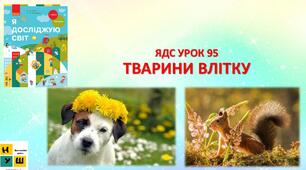Презентація ЯДС Бібік  1 клас УРОК 95 ТВАРИНИ ВЛІТКУ (для очного та дистанційного навчання )