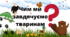 Презентація до теми "Роль тварин у природі та житті людини" у 5 класі НУШ