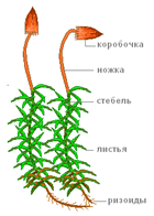 0402f0v8-4f17-140x196.png