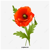 0402f0w4-ca8c-171x171.png
