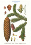 0402f0wj-4e95-106x151.png