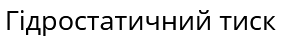 0402f1v7-1607-284x39.png
