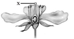0402f222-ea4c-252x133.png