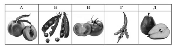0402f2bd-e43a-584x159.png