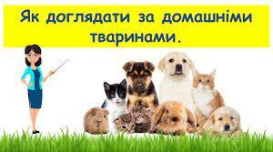 Презентація " Як доглядати за домашніми тваринами"