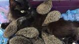 0402f416-473e-159x89.jpg