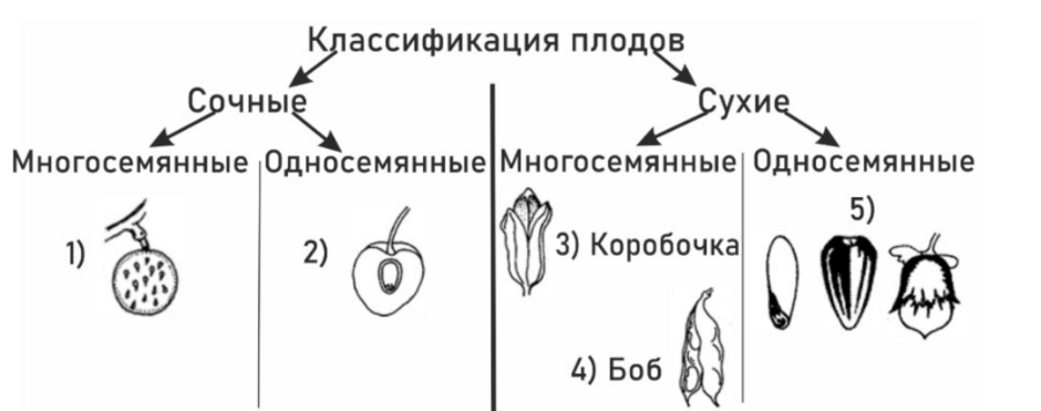 0402f427-5fb0-940x371.png
