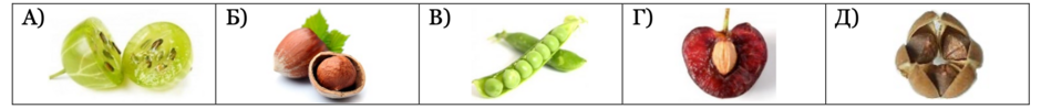 0402f42m-7dc2-940x99.png