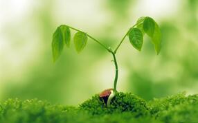 0402f4dg-79e0-286x179.jpg