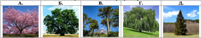 0402f4ew-f00c-671x129.png