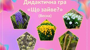 Дидактична гра "Що зайве?" (Весна)