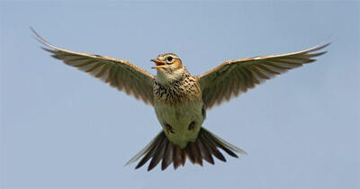 0402f57j-c5a9-400x210.jpg