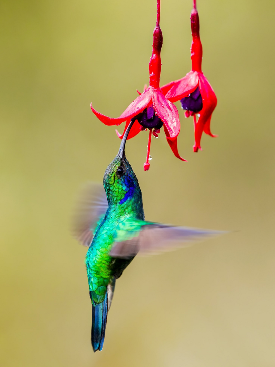 0402f62e-bfcd-940x1254.png