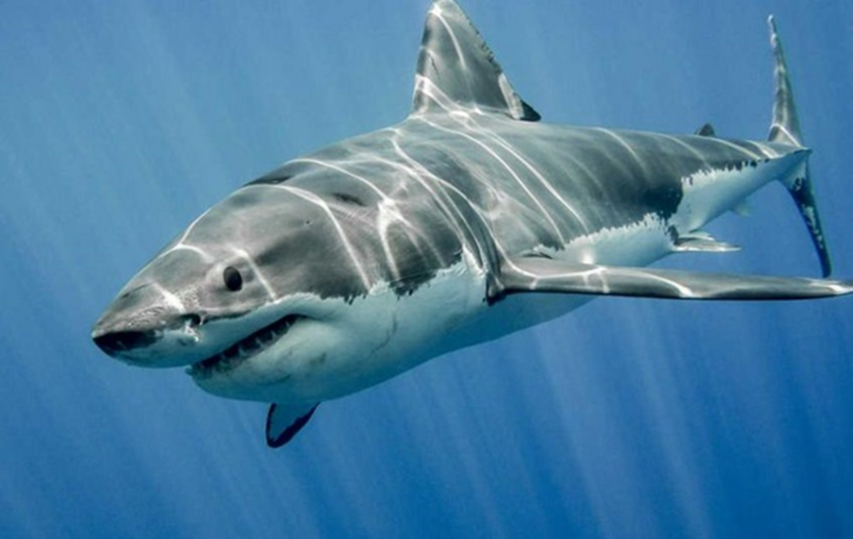 0402f633-fa20-940x594.png